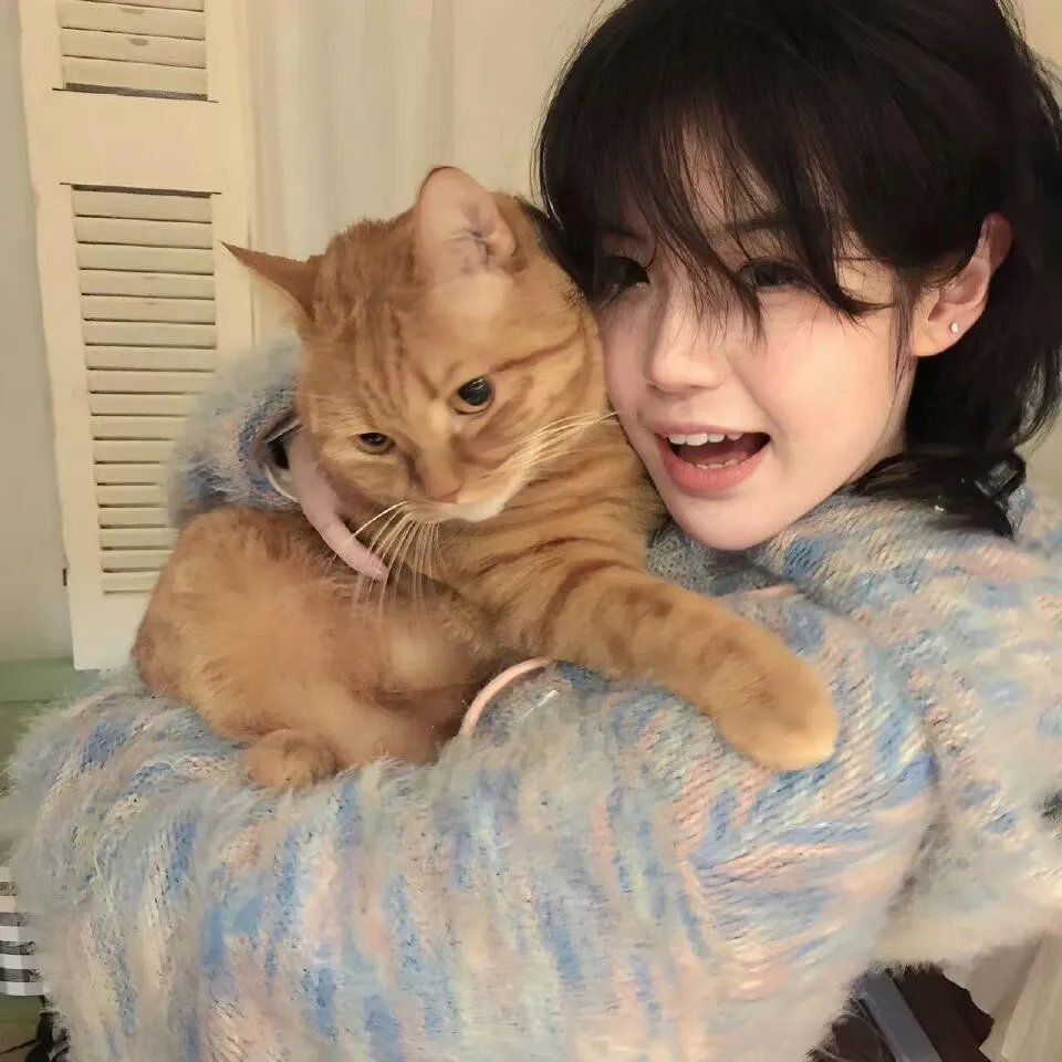 小猪扑满的愿望