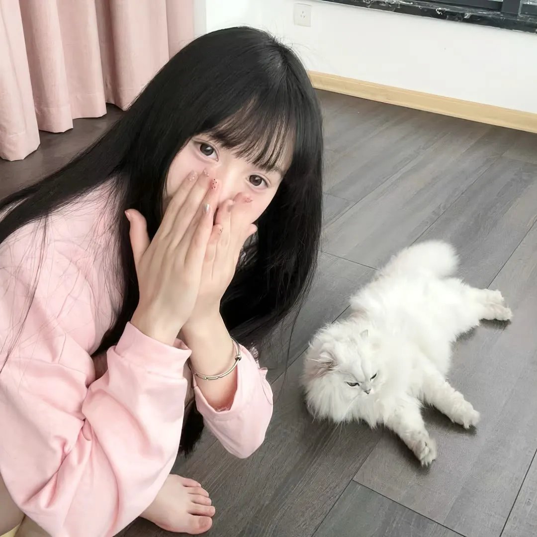 带轮子的家第四季