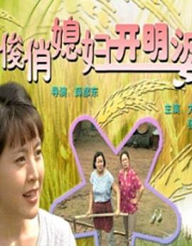 穿越90之揪着我妈去相亲封面